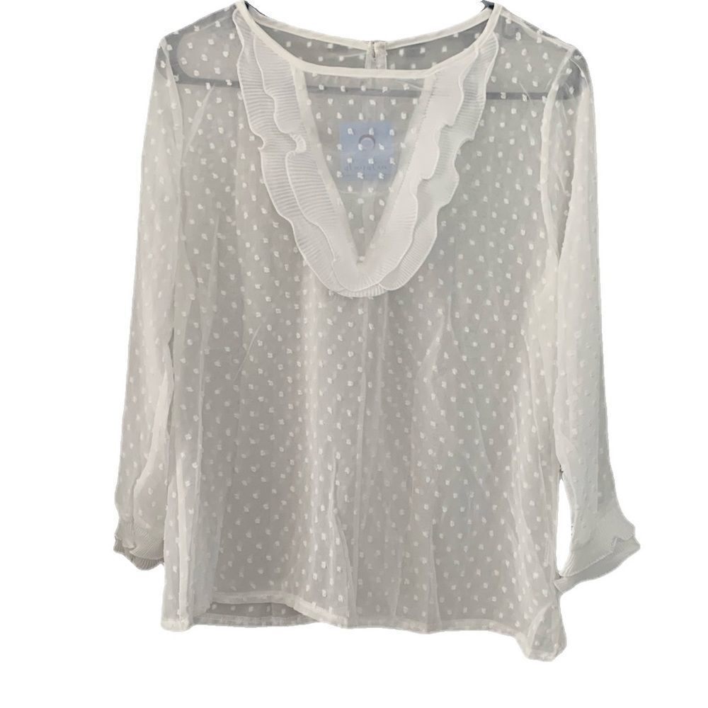 Beautiful Sheer Blouse - Picture 1 of 7